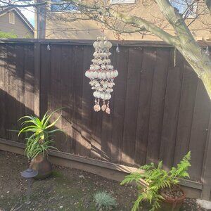 Original Hanging Sea Shell Decor indoor and outdoor